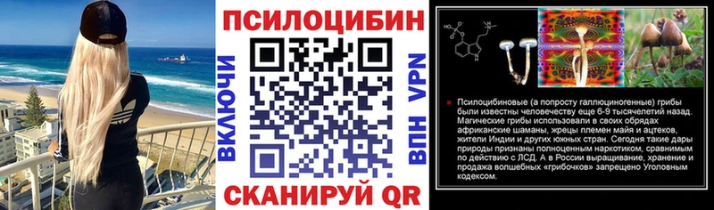 Псилоцибиновые грибы Psilocybe  как найти наркотики  Белово 
